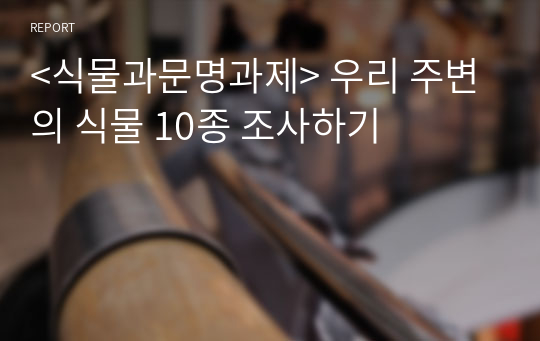 &lt;식물과문명과제&gt; 우리 주변의 식물 10종 조사하기