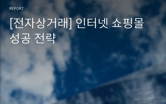 [전자상거래] 인터넷 쇼핑몰 성공 전략