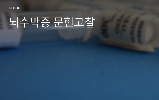 뇌수막증 문헌고찰