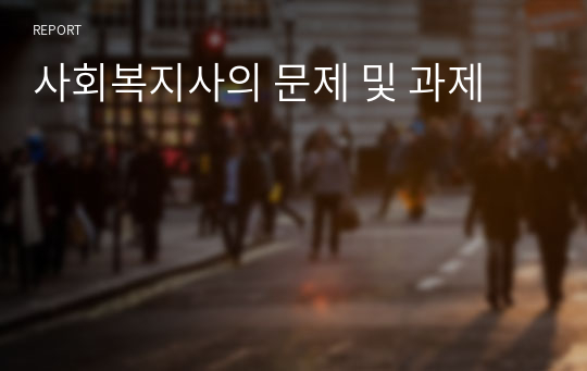 사회복지사의 문제 및 과제