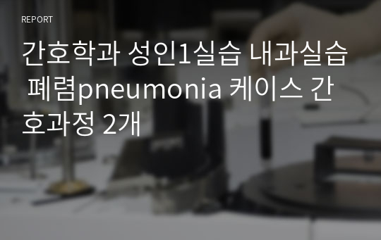 간호학과 성인1실습 내과실습 폐렴pneumonia 케이스 간호과정 2개