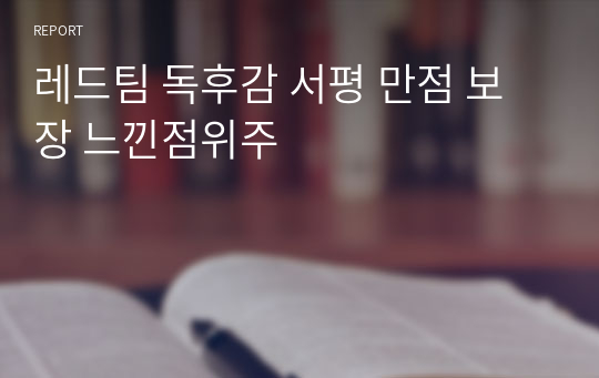 레드팀 독후감 서평 만점 보장 느낀점위주