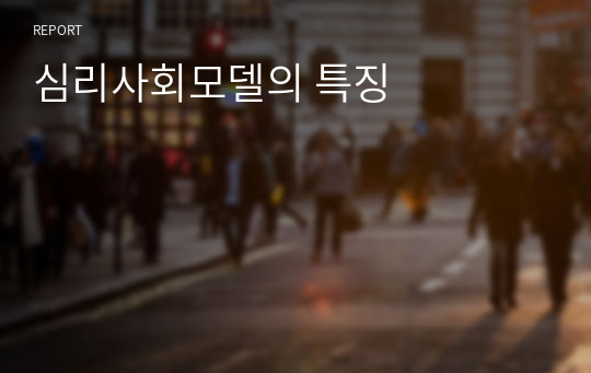 심리사회모델의 특징