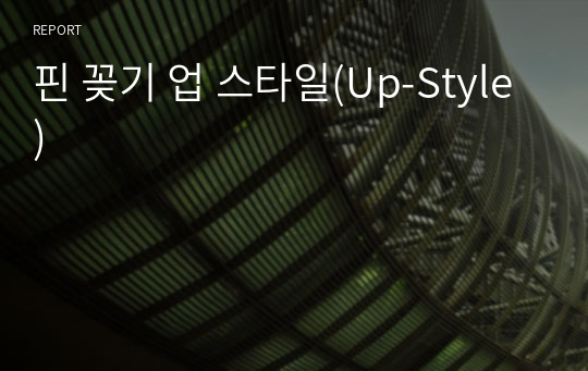 핀 꽂기 업 스타일(Up-Style)