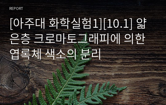 [아주대 화학실험1][10.1] 얇은층 크로마토그래피에 의한 엽록체 색소의 분리