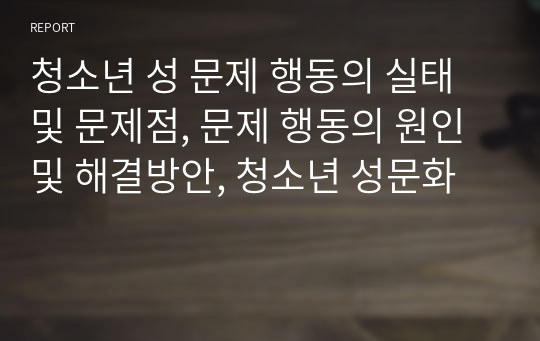 청소년 성 문제 행동의 실태 및 문제점, 문제 행동의 원인 및 해결방안, 청소년 성문화