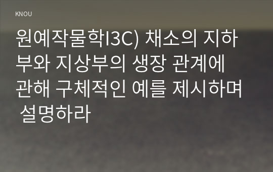 원예작물학I3C) 채소의 지하부와 지상부의 생장 관계에 관해 구체적인 예를 제시하며 설명하라