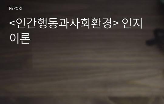 &lt;인간행동과사회환경&gt; 인지이론