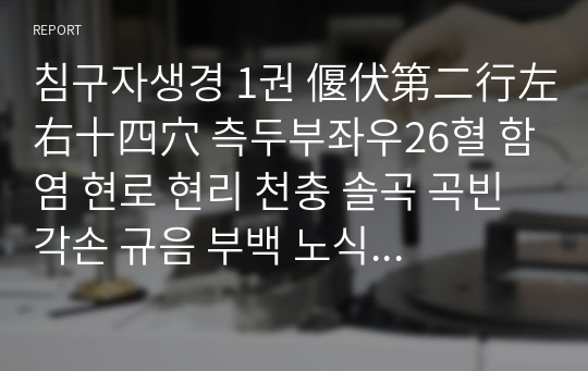 침구자생경 1권 偃伏第二行左右十四穴 측두부좌우26혈 함염 현로 현리 천충 솔곡 곡빈 각손 규음 부백 노식 계맥 완골 예풍