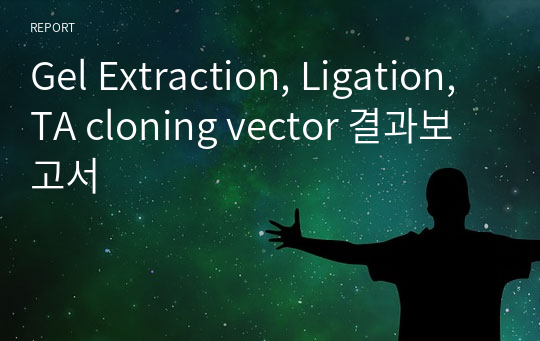 Gel Extraction, Ligation, TA cloning vector 결과보고서