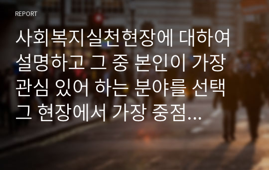 사회복지실천현장 설명 중점적으로 접근해야하는 문제 무엇 해결책을 정리