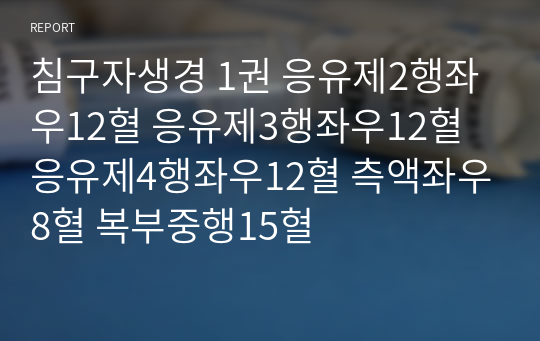 침구자생경 1권 응유제2행좌우12혈 응유제3행좌우12혈 응유제4행좌우12혈 측액좌우8혈 복부중행15혈