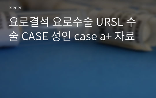 요로결석 요로수술 URSL 수술 CASE 성인 case a+ 자료