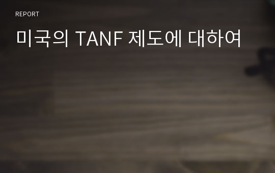 미국의 TANF 제도에 대하여