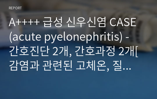 A++++ 급성 신우신염 CASE (acute pyelonephritis) - 간호진단 2개, 간호과정 2개[감염과 관련된 고체온, 질병과 관련된 급성통증]