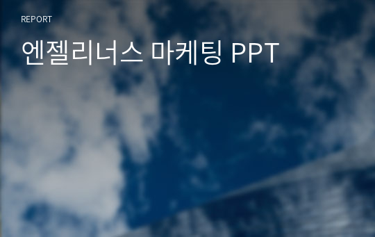 엔젤리너스 마케팅 PPT