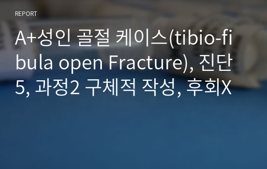 A+성인 골절 케이스(tibio-fibula open Fracture), 진단5, 과정2 구체적 작성, 후회X