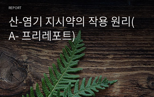 산-염기 지시약의 작용 원리(A- 프리레포트)