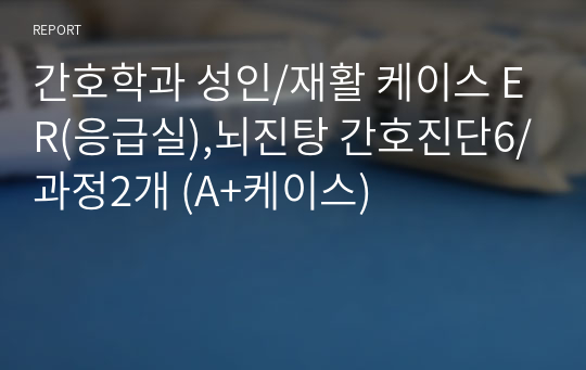 간호학과 성인/재활 케이스 ER(응급실),뇌진탕 간호진단6/과정2개 (A+케이스)