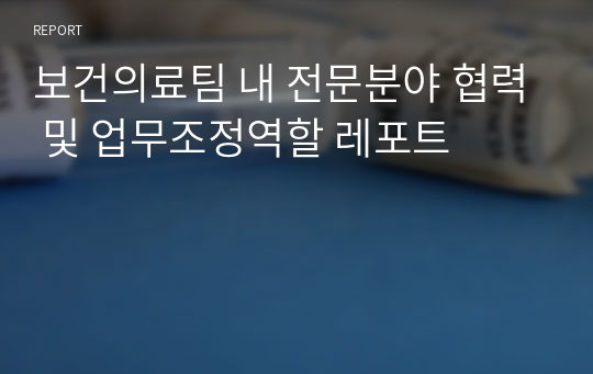 보건의료팀 내 전문분야 협력 및 업무조정역할 레포트