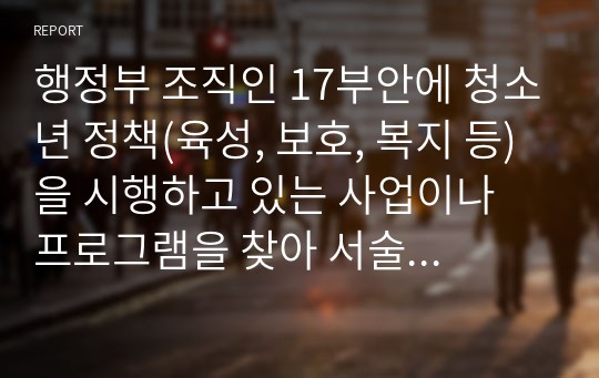 행정부 조직인 17부안에 청소년 정책(육성, 보호, 복지 등)을 시행하고 있는 사업이나 프로그램을 찾아 서술하시오.