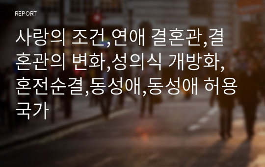 사랑의 조건,연애 결혼관,결혼관의 변화,성의식 개방화,혼전순결,동성애,동성애 허용국가