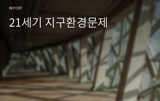 21세기 지구환경문제