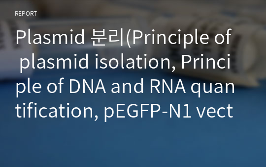 Plasmid 분리(Principle of plasmid isolation, Principle of DNA and RNA quantification, pEGFP-N1 vector의 구조와 특징)