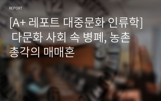 [A+ 레포트 대중문화 인류학] 다문화 사회 속 병폐, 농촌 총각의 매매혼