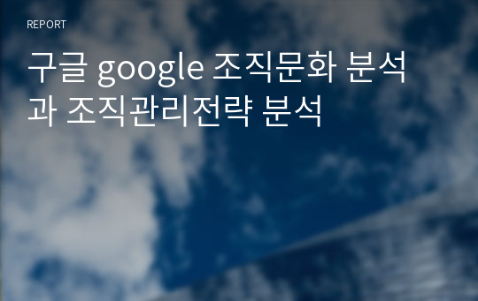 구글 google 조직문화 분석과 조직관리전략 분석