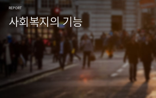 사회복지의 기능