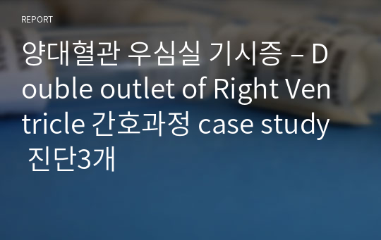 양대혈관 우심실 기시증 – Double outlet of Right Ventricle 간호과정 case study 진단3개