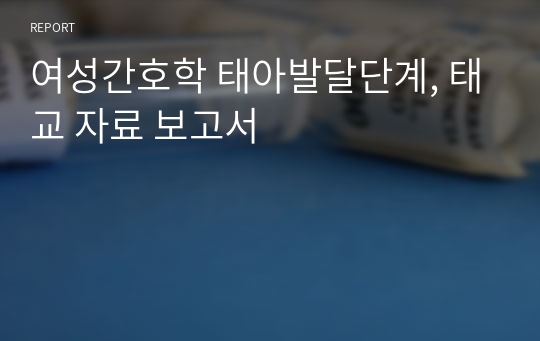 여성간호학 태아발달단계, 태교 자료 보고서