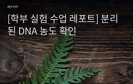 [학부 실험 수업 레포트] 분리된 DNA 농도 확인