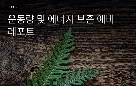 운동량 및 에너지 보존 예비레포트