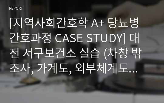 [지역사회간호학 A+ 당뇨병 간호과정 CASE STUDY] 대전 서구보건소 실습 (차창 밖 조사, 가계도, 외부체계도 포함)