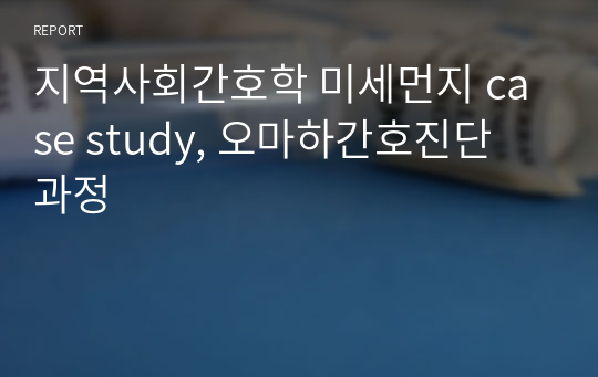 지역사회간호학 미세먼지 case study, 오마하간호진단 과정