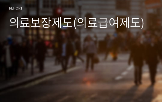 의료보장제도(의료급여제도)