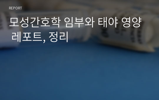 모성간호학 임부와 태야 영양 레포트, 정리