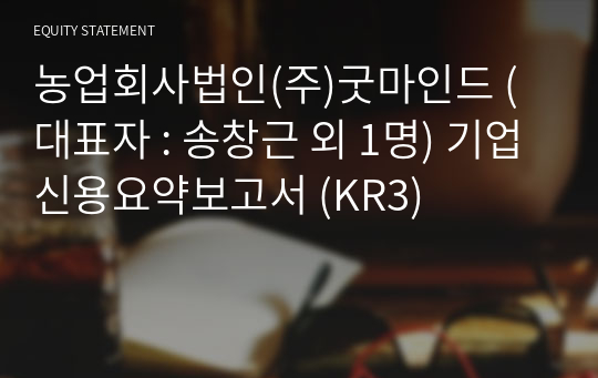 (주)굿마인드 기업신용요약보고서 (KR3)