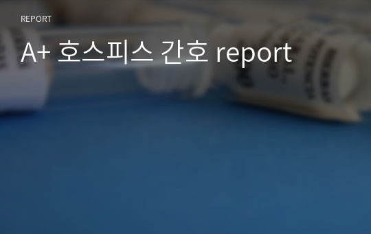 A+ 호스피스 간호 report