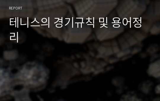 테니스의 경기규칙 및 용어정리