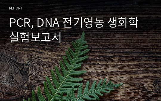 PCR, DNA 전기영동 생화학 실험보고서