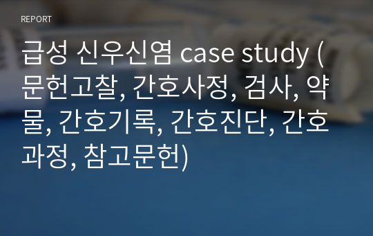 급성 신우신염 case study (문헌고찰, 간호사정, 검사, 약물, 간호기록, 간호진단, 간호과정, 참고문헌)