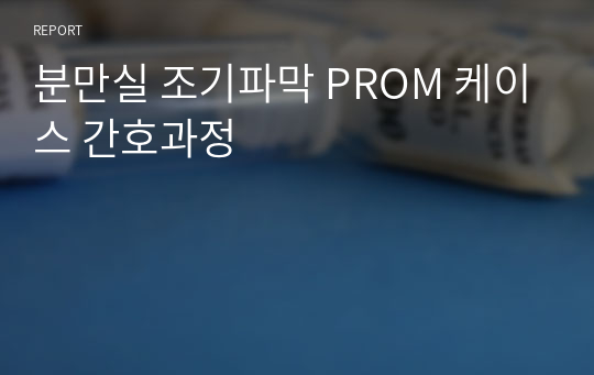 분만실 조기파막 PROM 케이스 간호과정