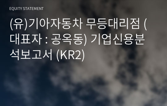 (유)기아자동차 무등대리점 기업신용분석보고서 (KR2)