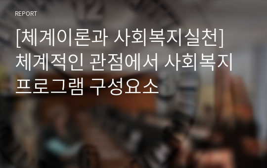 [체계이론과 사회복지실천] 체계적인 관점에서 사회복지 프로그램 구성요소