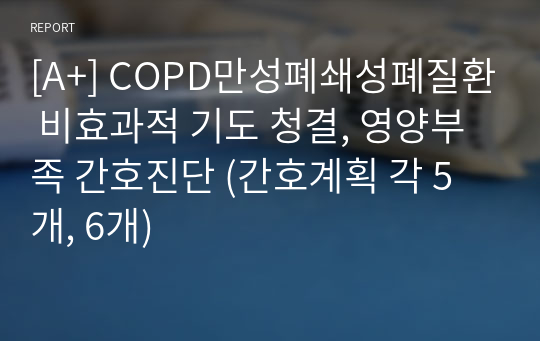 [A+] COPD만성폐쇄성폐질환 비효과적 기도 청결, 영양부족 간호진단 (간호계획 각 5개, 6개)