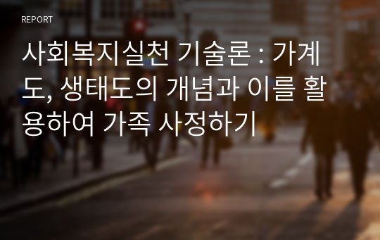 사회복지실천 기술론  가계도, 생태도의 개념과 이를 활용하여 가족 사정하기