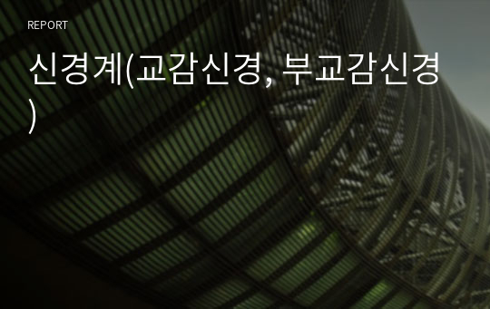 신경계(교감신경, 부교감신경)